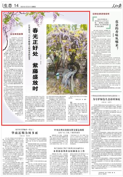 《人民日報》 2023年04月25日 第14版版面截圖