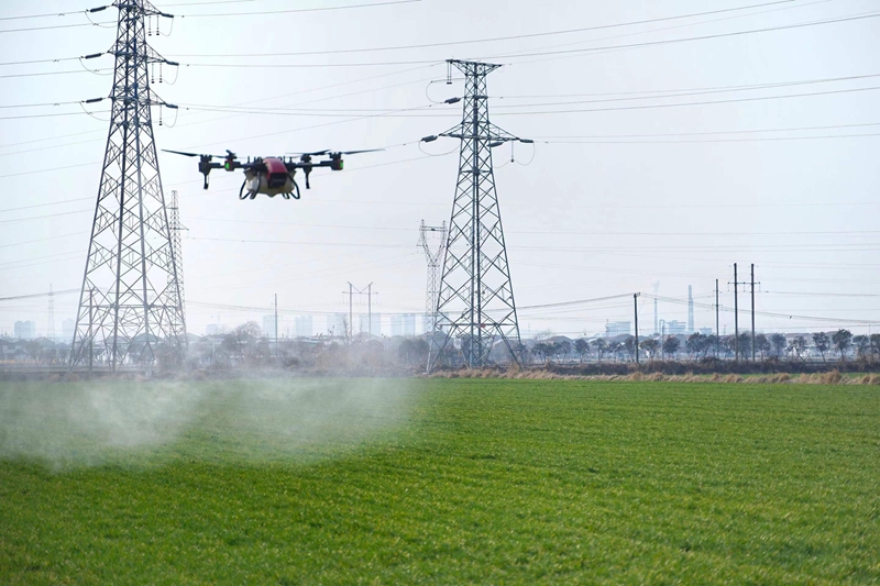 賈汪區(qū)種糧大戶鹿呂要操控的植保無人機在撒藥。 劉冰攝