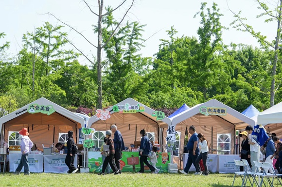 活動現(xiàn)場。六合區(qū)委宣傳部供圖