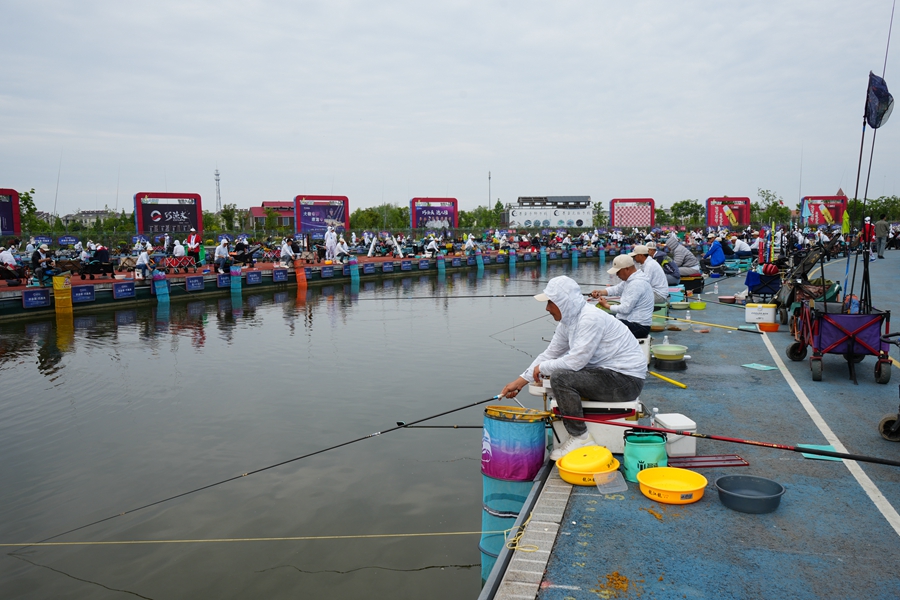 第十三屆泗洪洪澤湖大圓塘釣魚大賽現(xiàn)場。泗洪縣委宣傳部供圖