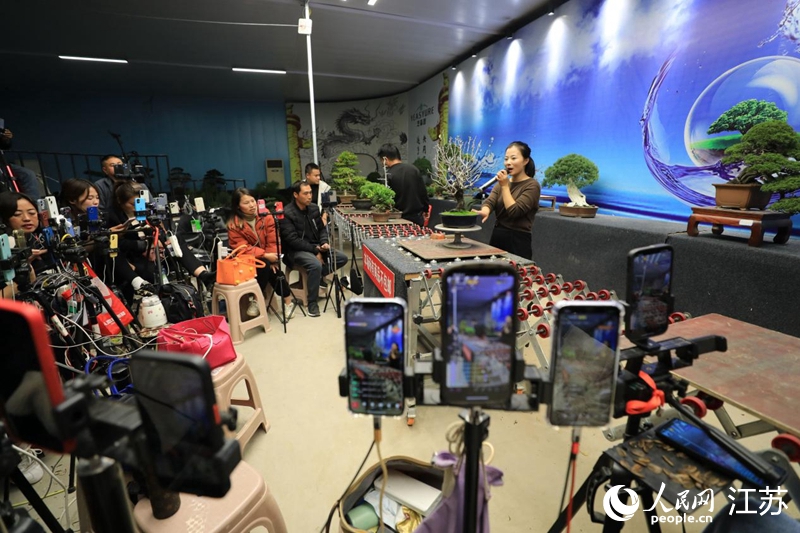 沭陽縣扎下鎮(zhèn)藝森園直播中心，電商主播在競價銷售花木盆景。人民網(wǎng) 黃啟源攝