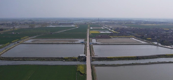 戴窯鎮(zhèn)通村公路修到田間地頭。孫湛攝