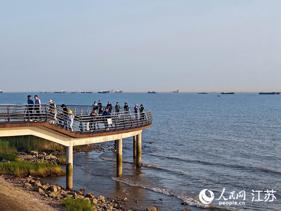 豚灣的游客。人民網(wǎng) 徐晨曦?cái)z