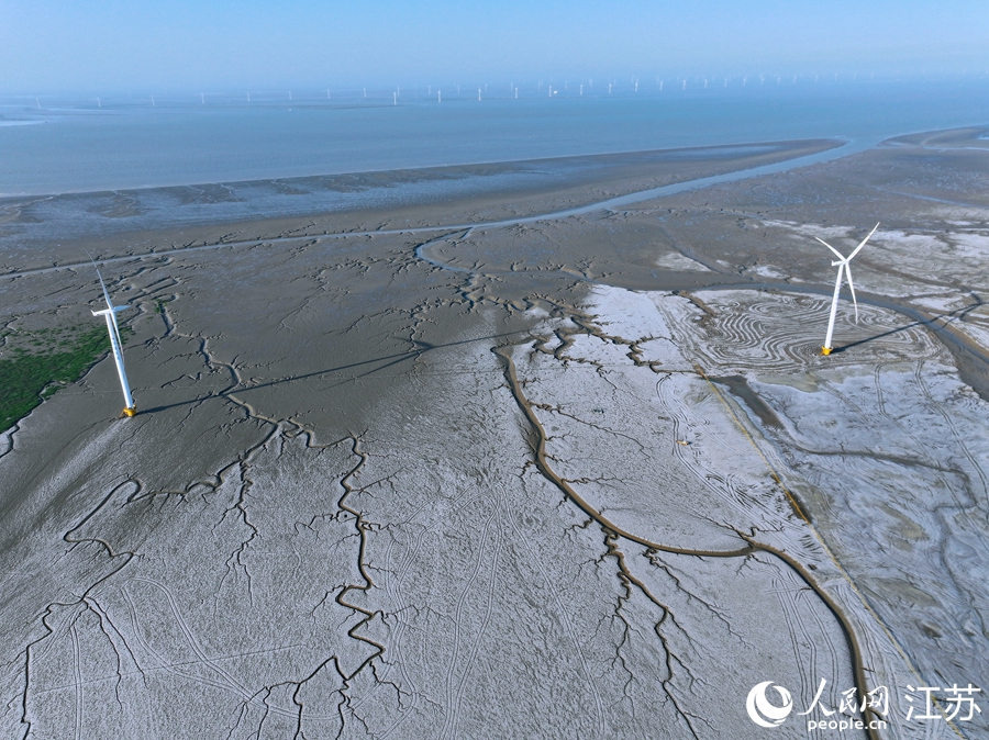 海上風(fēng)機(jī)與“潮汐樹”相映成趣。人民網(wǎng) 余樂攝