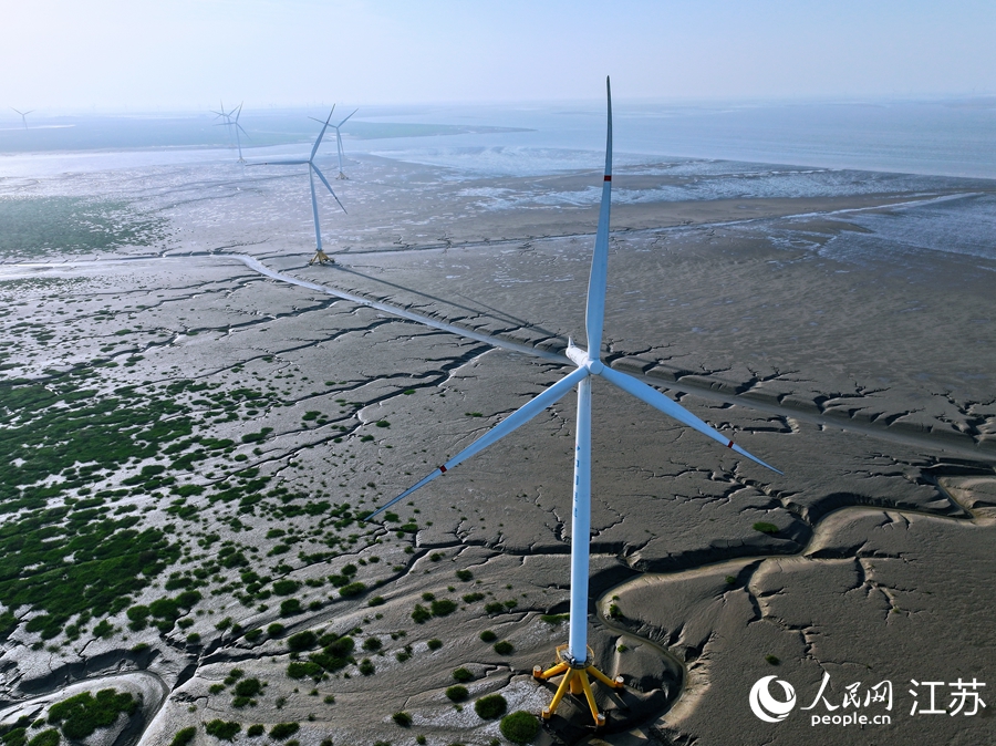 如東小洋口海上風(fēng)電。人民網(wǎng) 余樂(lè)攝