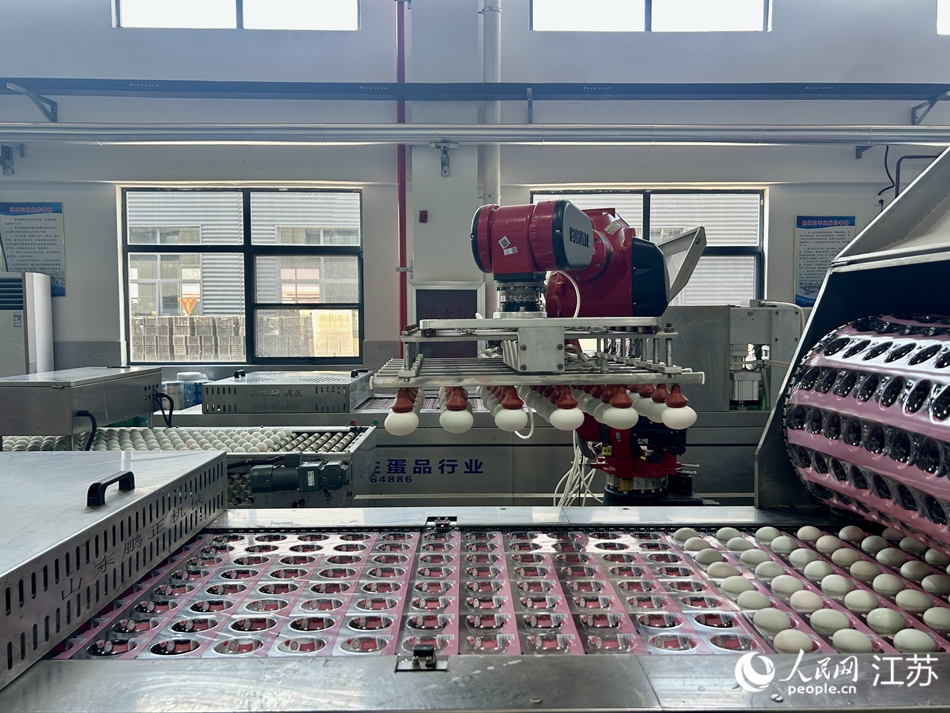 機(jī)器臂將鴨蛋送上生產(chǎn)線。人民網(wǎng) 王丹丹攝