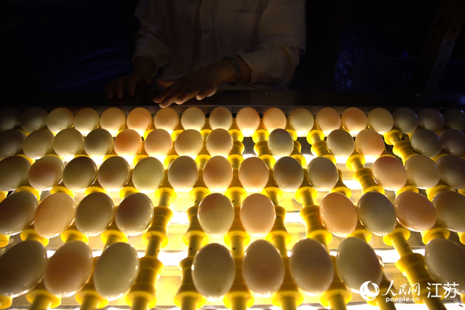 檢測(cè)人員對(duì)鴨蛋進(jìn)行光檢。人民網(wǎng) 梁明攝