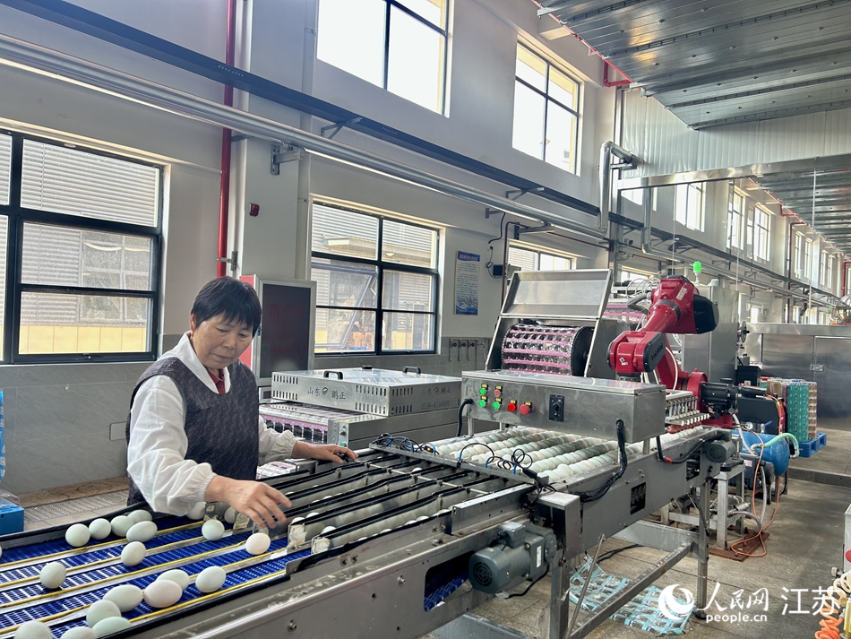 工作人員調(diào)整生產(chǎn)線上的鴨蛋。人民網(wǎng) 王丹丹攝