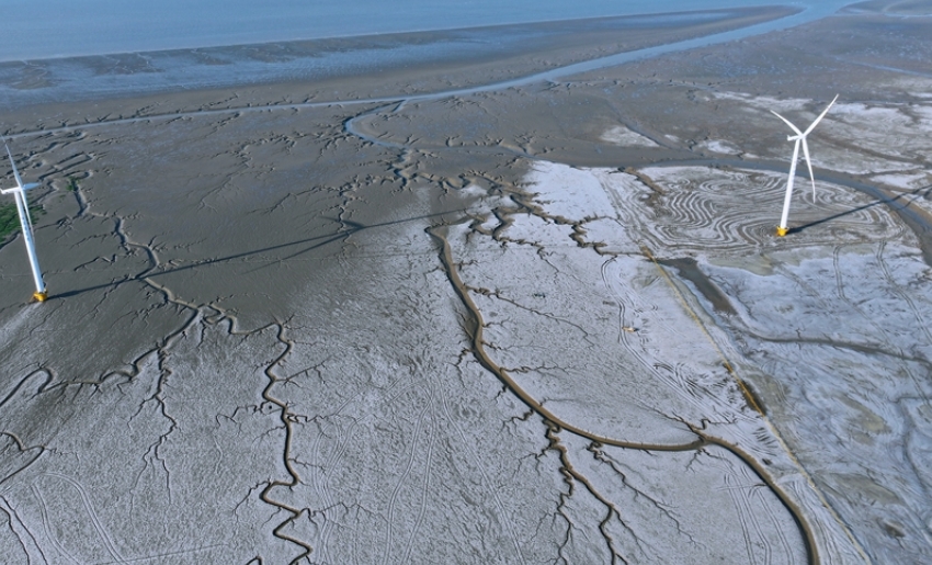 如東海上風(fēng)機(jī)與“潮汐樹”相映成趣