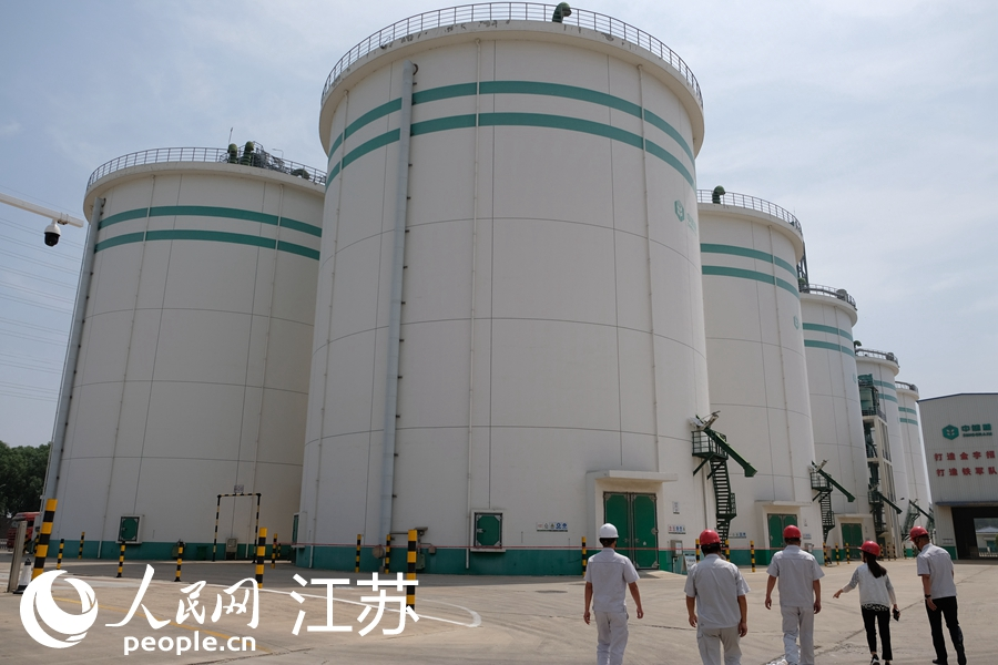 存儲(chǔ)糧食的淺圓倉。人民網(wǎng) 王雪彤?dāng)z