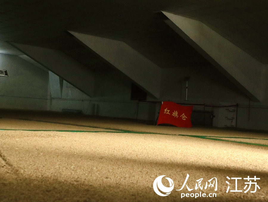 糧庫內(nèi)平整如鏡的糧面。人民網(wǎng) 王雪彤?dāng)z
