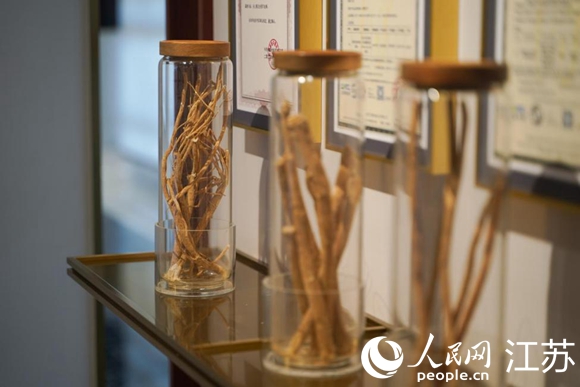 左一為有機(jī)黃芪樣品。 人民網(wǎng) 郜超攝