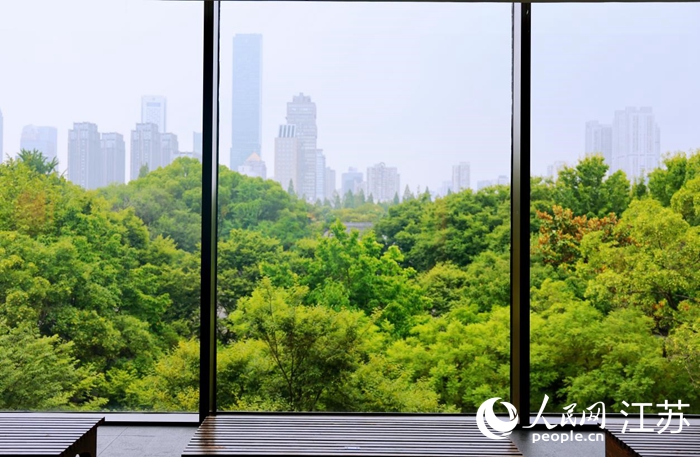 六朝博物館落地窗外的城市景象。人民網(wǎng) 余樂攝