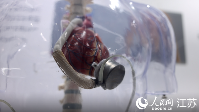 我國首款全磁懸浮人工心臟。人民網(wǎng) 余樂攝