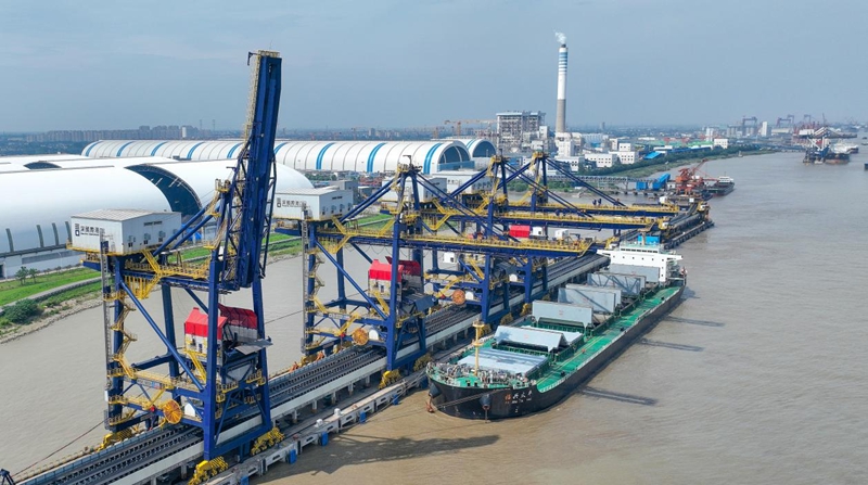 深國際港口貨輪正在裝卸。朱其攝