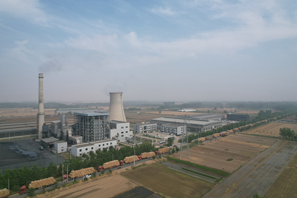 夏收時(shí)節(jié)，運(yùn)送小麥秸稈的卡車(chē)在睢寧縣長(zhǎng)青生物質(zhì)能源有限公司外排起長(zhǎng)龍。 顧士剛 攝