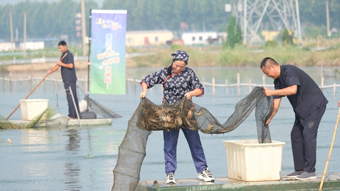 開捕現(xiàn)場。灌南縣委宣傳部供圖