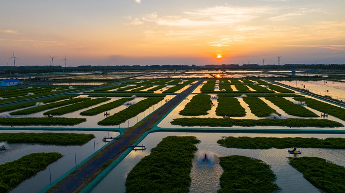 碩項湖大閘蟹養(yǎng)殖基地。灌南縣委宣傳部供圖