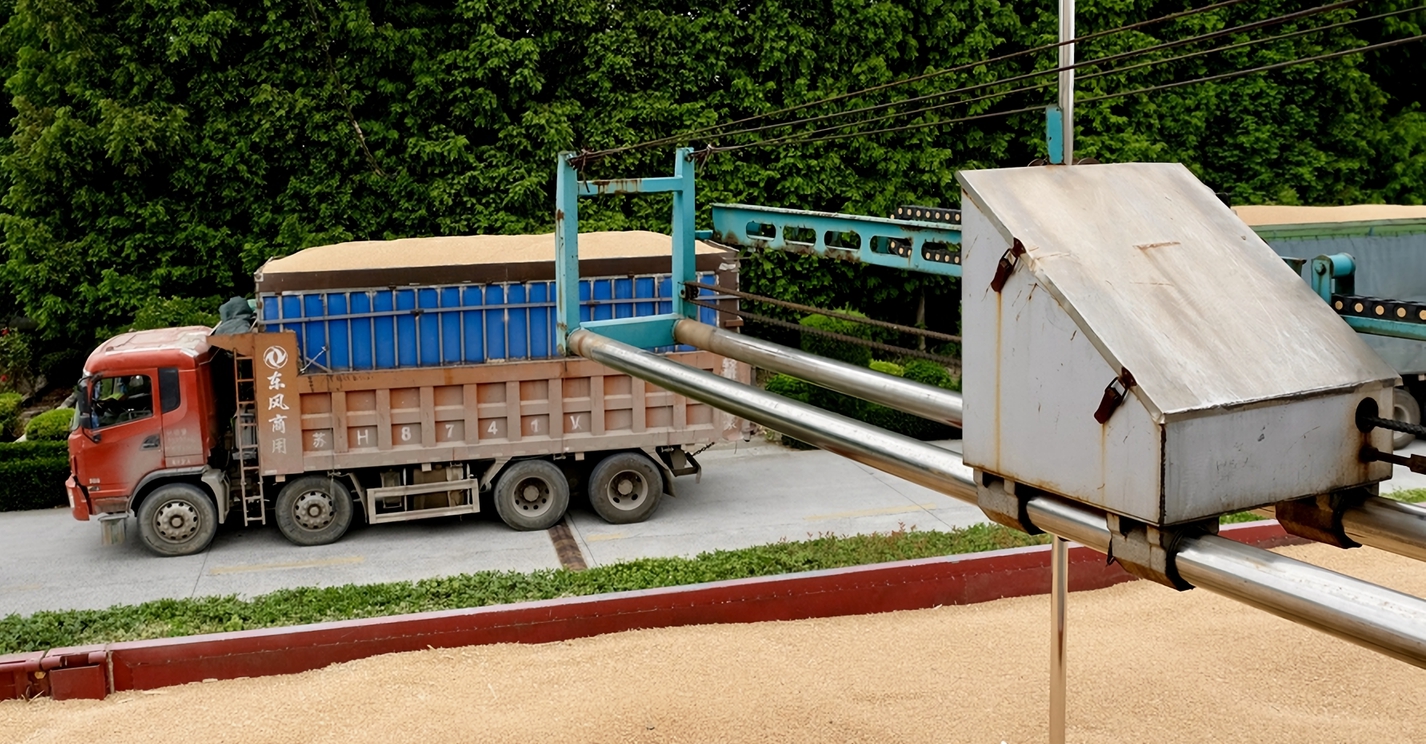 老郭賣糧記  6月24日早上，44歲的郭瑞芝自己開了1輛半掛車，后面跟著5輛，滿載本季新打的小麥，徑直來到中央儲備糧江蘇淮安直屬庫楚州分庫。  正值夏糧銷售旺季，這里的售糧車卻不擁擠。郭瑞芝揚揚手機說：“可以提前在‘惠三農(nóng)’App上預(yù)約，也可以打電話預(yù)約，錯峰賣糧，農(nóng)戶之間‘不打架’。”  