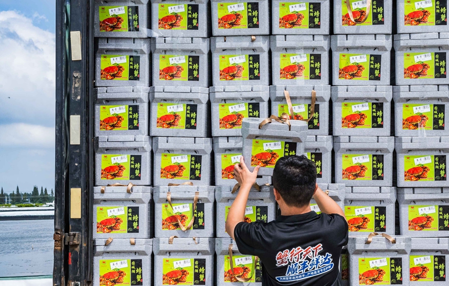 包裝好的螃蟹被送入快遞車。劉列攝