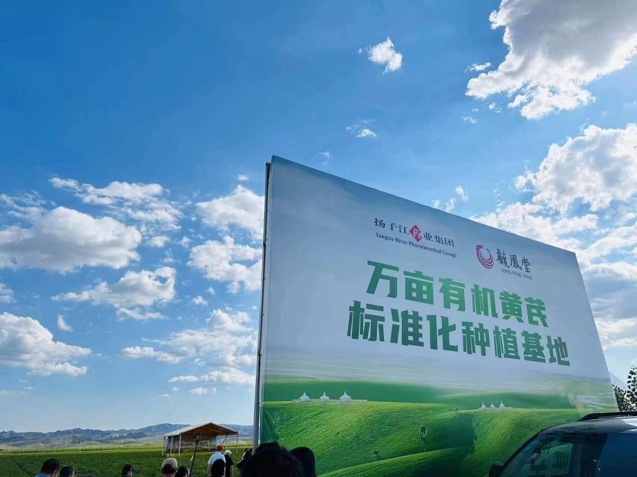 揚子江藥業(yè)集團黃芪(有機)標準化種植基地 揚子江藥業(yè)集團供圖