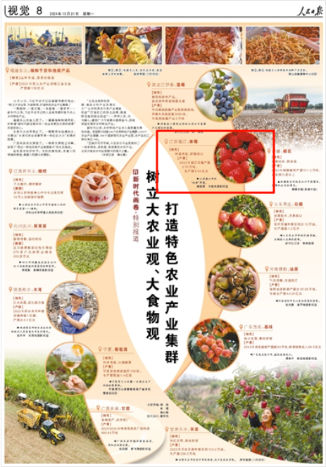 《人民日?qǐng)?bào)》2024年10月21日8版 版面截圖