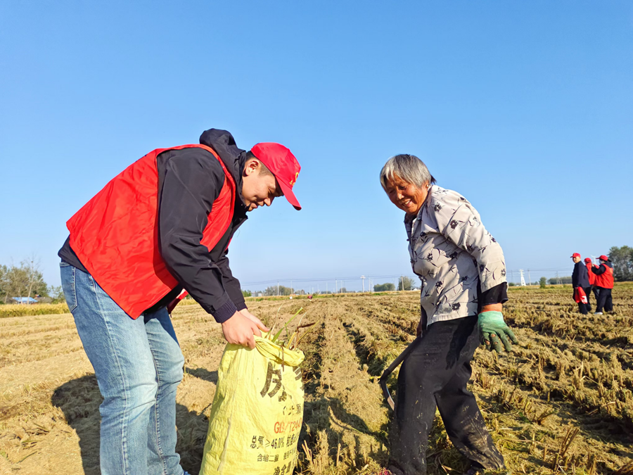 志愿者幫助農(nóng)戶將稻谷裝袋。 程杰攝