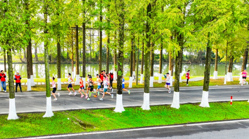  “螃蟹馬拉松”開跑。高淳區(qū)融媒體中心供圖