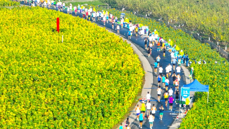  “螃蟹馬拉松”開跑。高淳區(qū)融媒體中心供圖