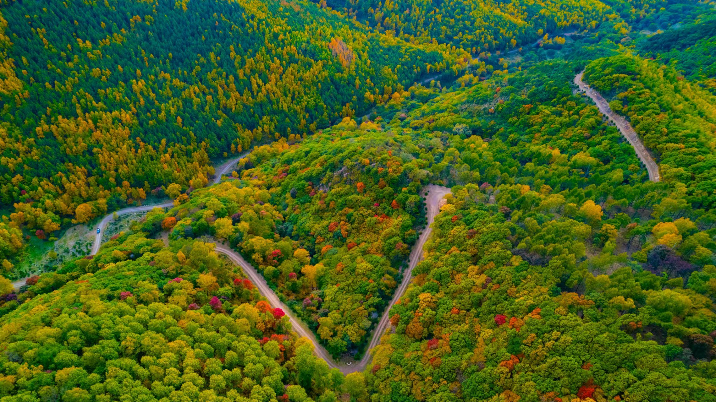 國(guó)家一號(hào)風(fēng)景大道初秋景色。孫占軍 攝