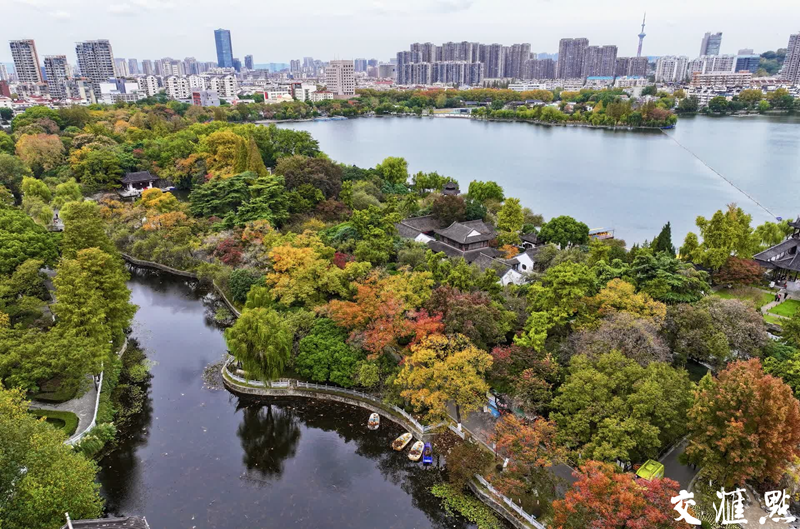 莫愁湖換“彩衣” 繪就南京秋冬詩意畫卷