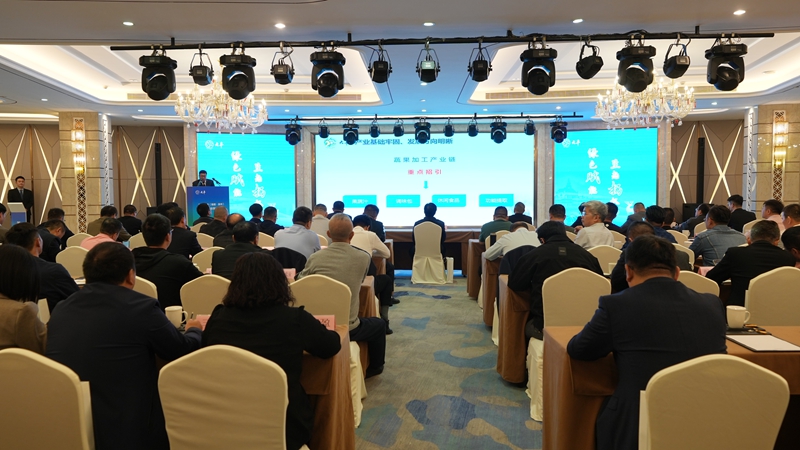 活動現(xiàn)場。主辦方供圖