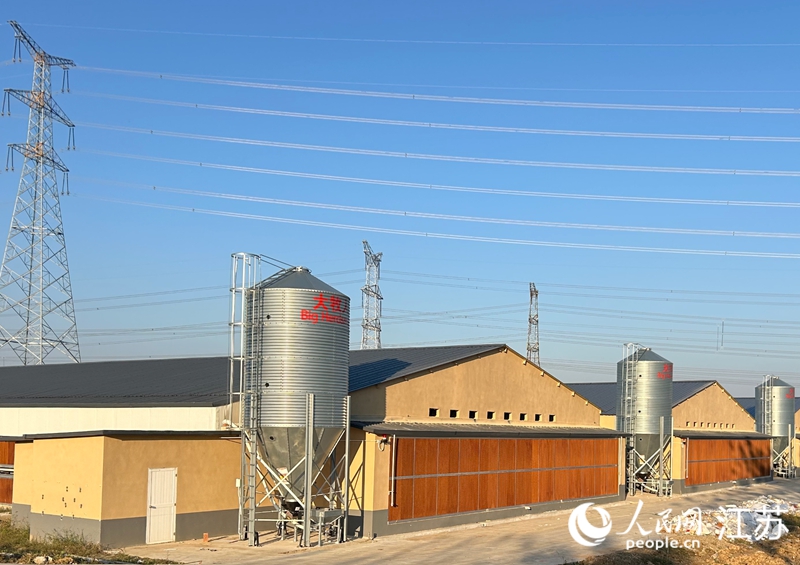 光華村標(biāo)準(zhǔn)化養(yǎng)殖場(chǎng)正在建設(shè)中。人民網(wǎng) 王丹丹攝