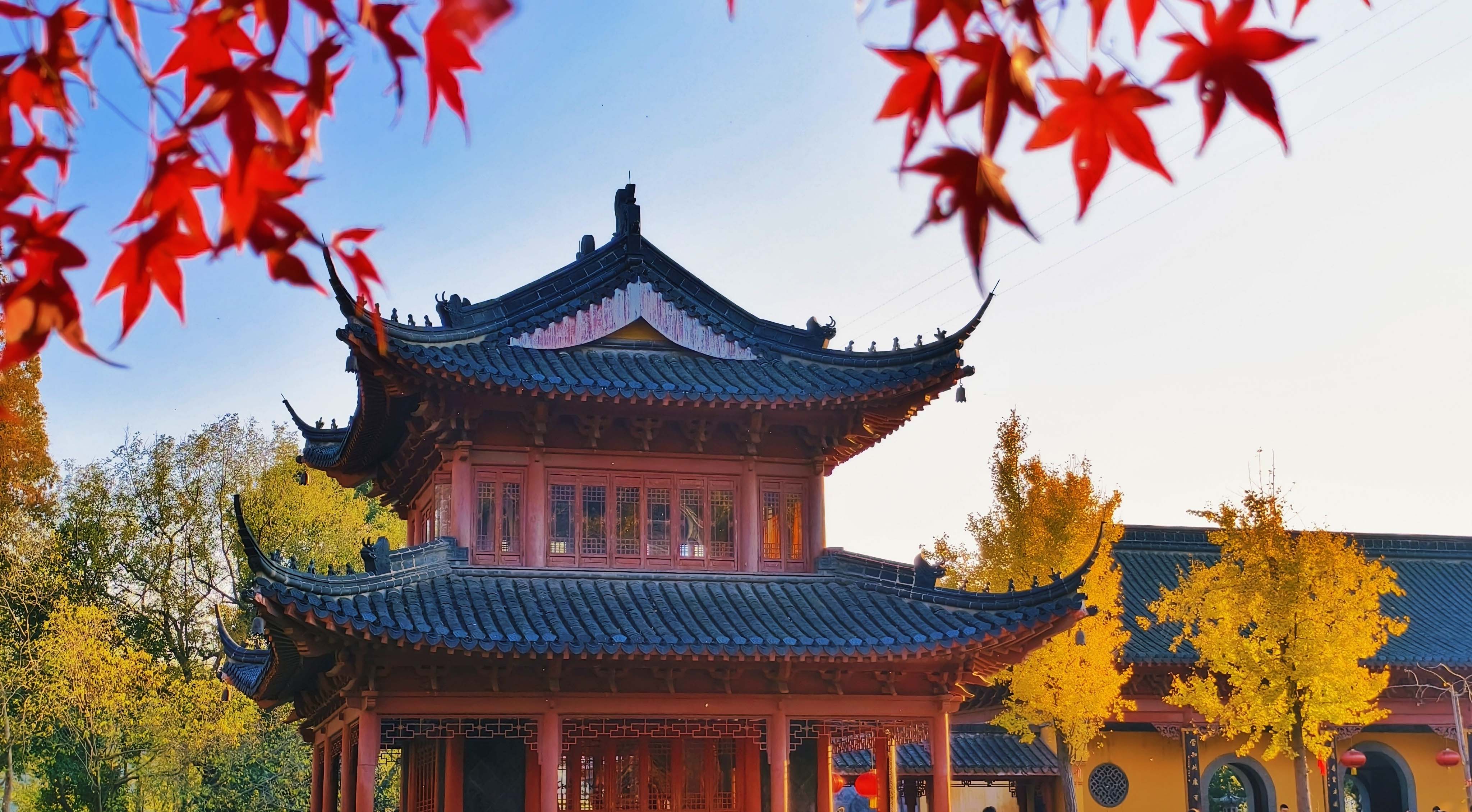 焦山初冬景象。莫玉顰攝