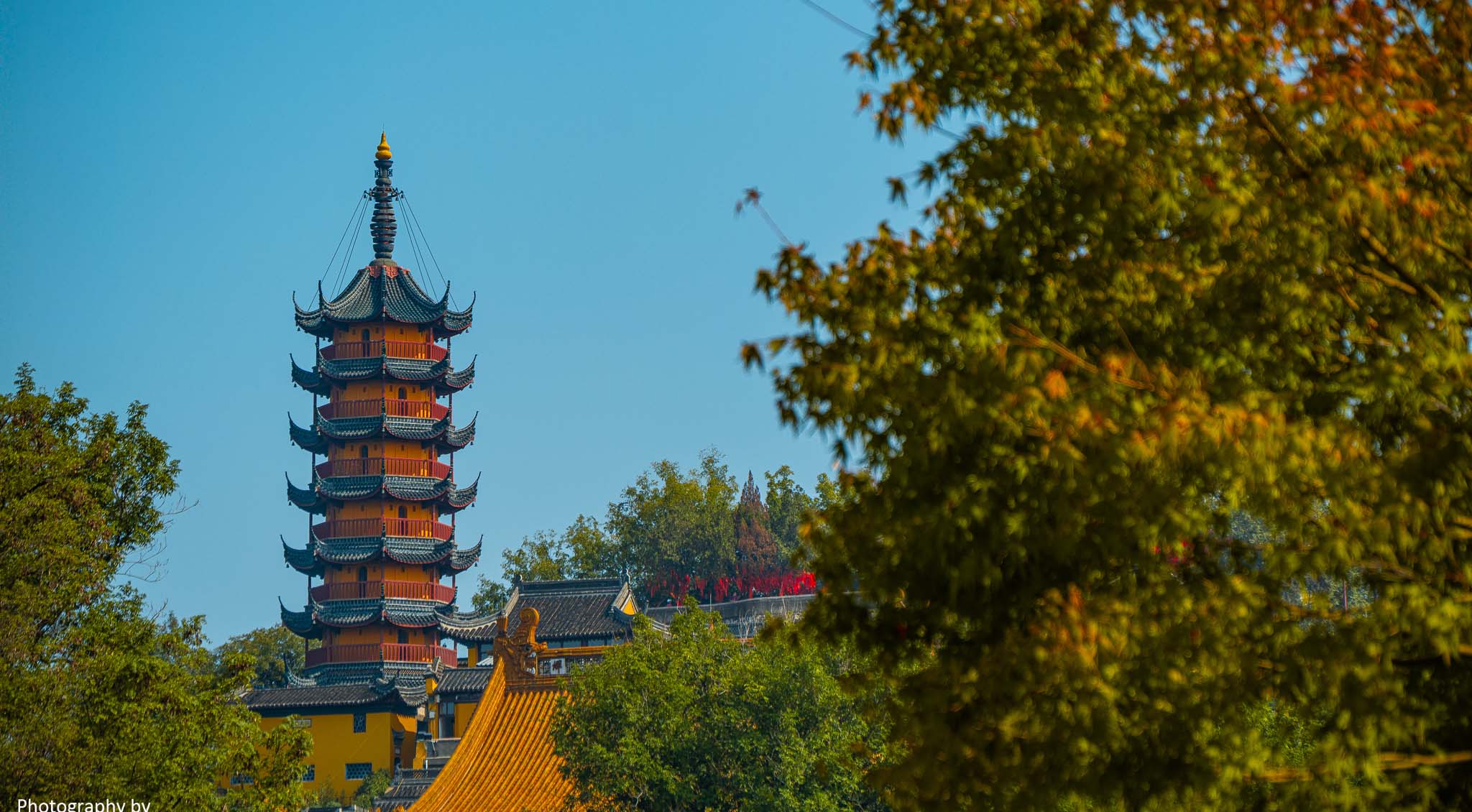 金山寺景色怡人。陸建華攝