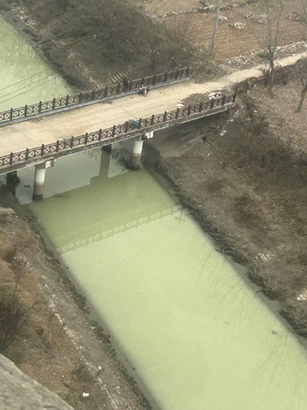 網(wǎng)友拍攝的被污染水體。
