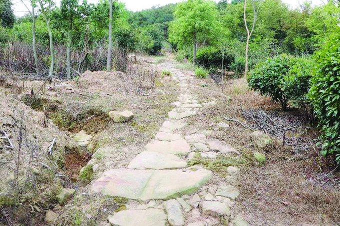 橫山古道丹陽集鎮(zhèn)段 王志高教授團(tuán)隊供圖