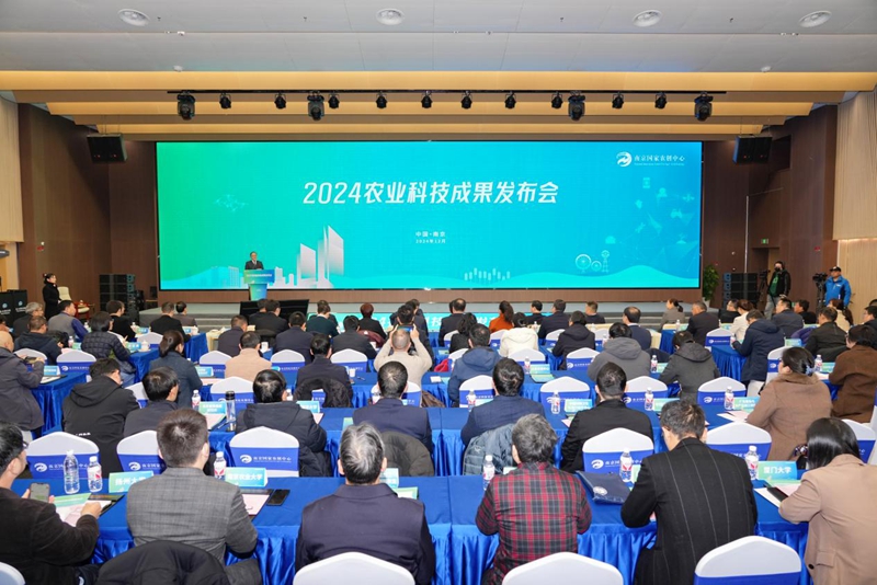 活動(dòng)現(xiàn)場(chǎng)。南京國(guó)家農(nóng)創(chuàng)中心供圖