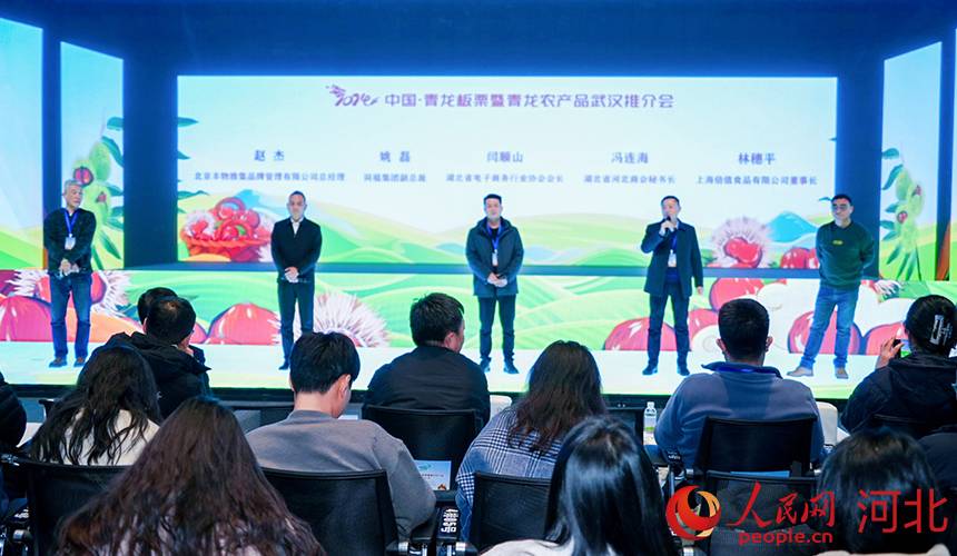 湖北、河北兩地行業(yè)協(xié)會(huì)和企業(yè)代表上臺(tái)分享如何共享商機(jī)，共促合作。人民網(wǎng)記者 周博攝