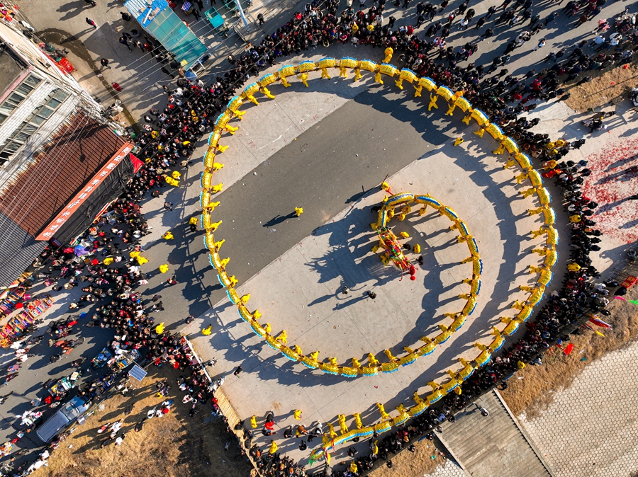 金色的板龍靈活游走。陳春花攝