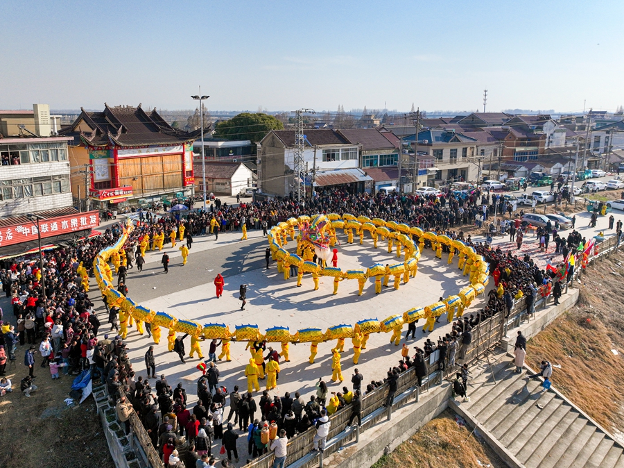 陽江板龍起于宋、盛于清，為當(dāng)?shù)卮迕袷来鄠?。陳春花攝