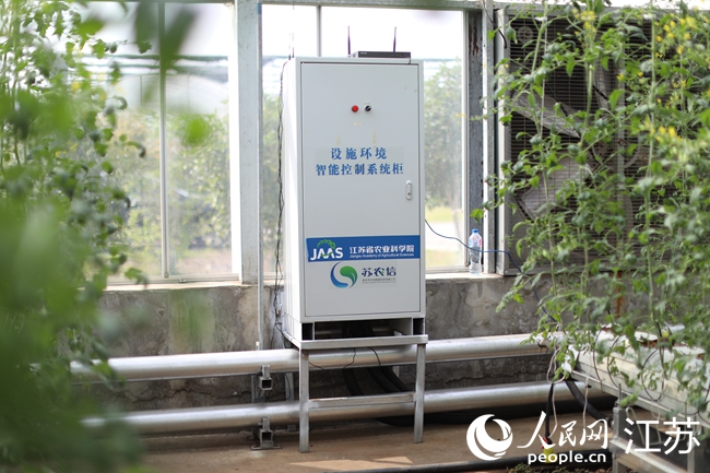 從實驗室走向田間地頭的AI系統(tǒng)。人民網(wǎng)記者 馬曉波攝