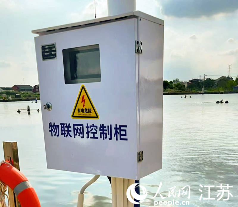 智慧魚塘邊的物聯(lián)網(wǎng)控制柜。人民網(wǎng) 周夢(mèng)嬌攝