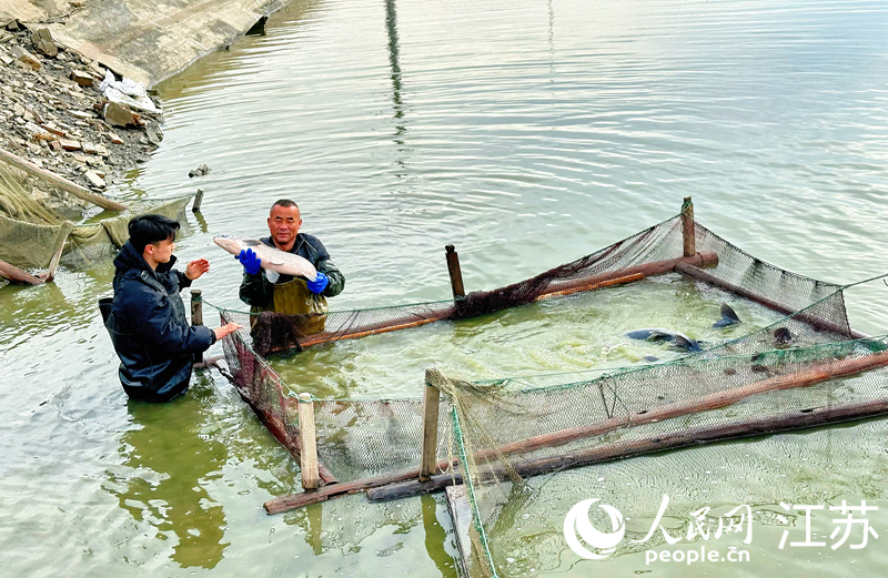 張子杰父子倆正下水抓魚。人民網(wǎng) 周夢(mèng)嬌攝