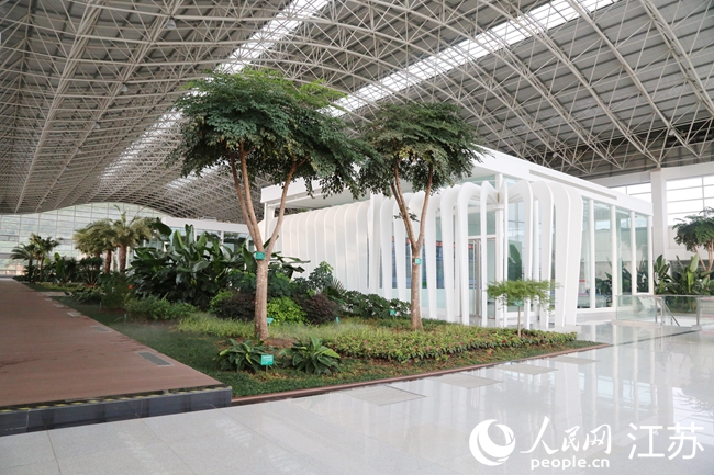 智能化提取精制工廠內(nèi)的中草藥展示區(qū)。人民網(wǎng) 江楠攝