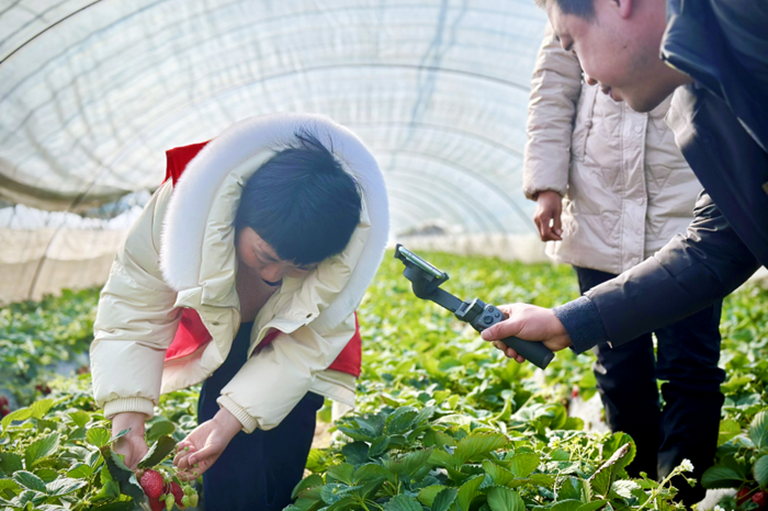 直播助農活動現(xiàn)場。劉靜攝