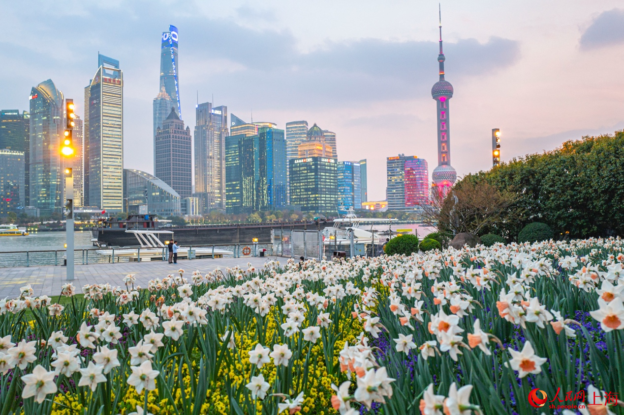 北外灘繁花似錦，景色迷人。 人民網(wǎng)記者 王初攝