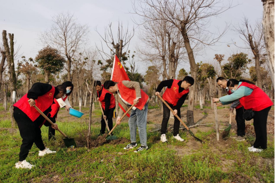 志愿者開展植樹活動。王柏華攝
