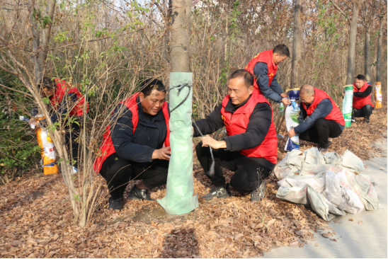 “護(hù)樹行動(dòng)”。劉文杰攝 