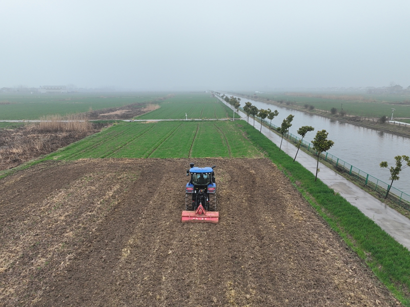 “網(wǎng)約拖拉機(jī)”在章春田間作業(yè)。杜森攝